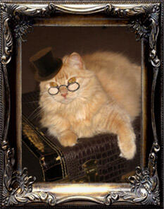 Our Author - Oni The Cat - a fluffy feline of furiously fickle temperament, draped upon an antique suitcase made of alligator, and wearing spectacles and a small top hat.